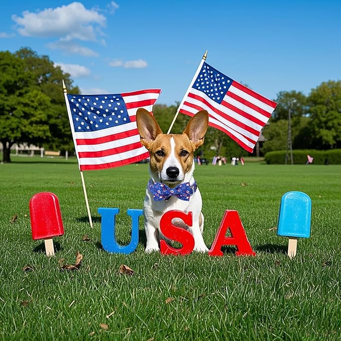 Lionet Paws 4th of July Dog Collar with Bowtie, Cute Summer Blue Dog Collar for Girl for Small Dogs, Adjustable Popsicle Pet Puppy Collars for Small Dogs