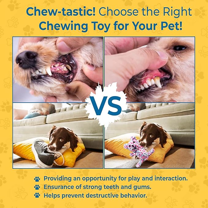 SunGrow Teddy Bear Puppy Teething Toy, Durable Tug and Chew Play for Small & Medium Dogs, Knotted Rope Cotton Design for Teething Comfort, Interactive Training, Active Pet, & Oral Cleaning
