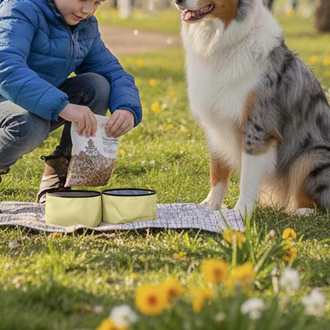 OllyDog Superbowl | Collapsible Dog Travel Bowl | 2-Compartment Food & Water | Foldable Portable Dog Dish | Hiking Camping Backpacking | Small Medium Large Dogs (Sol)
