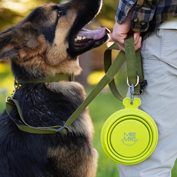 Messy Mutts Silicone Collapsible Bowl | Pet Travel Necessity | Portable Water or Food Dish | Pop Up Watering Bowl | Camping, Hiking, Walking Accessory | Large, 3 Cups | Green