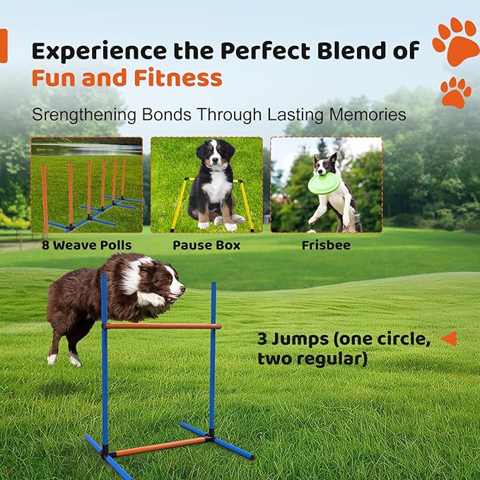 Sedeke 4 Sets Pets Agility Training Equipment - Adjustable Dog Hoop, Jump, Weave & Blind Poles, Pause Box for Outdoor Obstacle Course