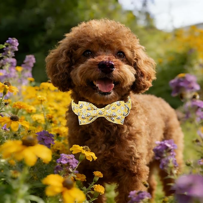 Lionet Paws Spring Dog Collar with Bow tie,Cute Summer Bees Yellow Dog Collar Bow Tie for Dogs and Cats Female, XS, Neck 8-12 inches