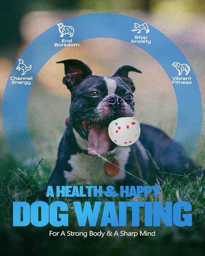 Automatic Dog Ball Thrower Launcher for Small to Medium Dogs, Tennis Machine Ball Thrower for Dogs, Interactive Dog Toys for Boredom, Games to Keep Them Busy, Includes 6 ETPU Balls, 2.3 Inch (BLUE)