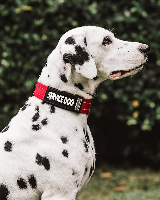 Tuff Pupper 2-Pack Waterproof Collar Sleeves | Fits Any 3/4 Inch Wide Dog Collar | Dual Sided Message | Durable Silicone & Neoprene | Odor & Stink Proof | Easy Slide On & Off (Service Dog, Small)