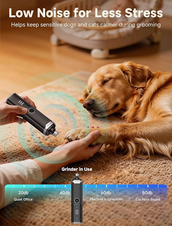 Dog Nail Grinder, Quiet Electric Dog Nail Trimmer with 2 LED Lights, 3-Speed Pet Nail Grinder for Dogs & Cats, Rechargeable 2000mAh Nail Grinder for Small Medium Large Dogs with Light, Black