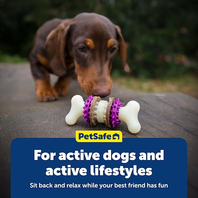 PetSafe Busy Buddy Bristle Bone Dog Chew Toy - Treat Holding Toothbrush Toy for Hard Chewers - Helps Keep Your Dog's Teeth Clean - Durable, Interactive - Purple, Large