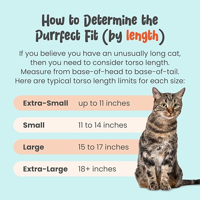Cat-in-the-Bag Cozy Comfort Carrier - Large Charcoal Cat Carrier Soft and Pet Carrier for Nail Clipping, Vet Visits, Medication Administration, Dental Care, and Traveling