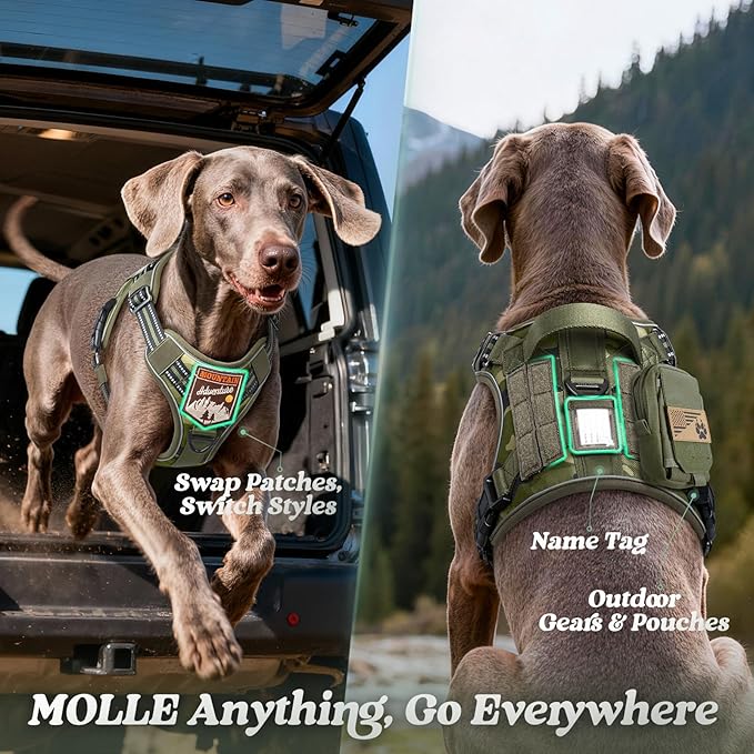 rabbitgoo Dog Harness for Small Dogs No Pull, Tactical Service Pet Vest with Molle and Control Handle, Adjustable and Reflective Military Harness for Easy Walking and Training, Green Camo, S