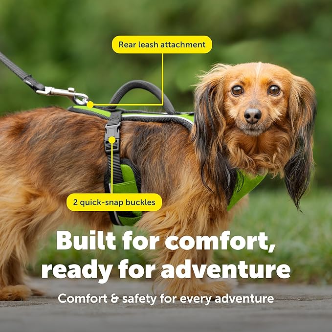 PetSafe EasySport Harness - Durable Padded Fabric, Adjustable Elastic Neckline, Rear-Leash Attachment & Nighttime Reflective Visibility - No Choke or Gag Secure Fit - Extra-Small - Apple Green