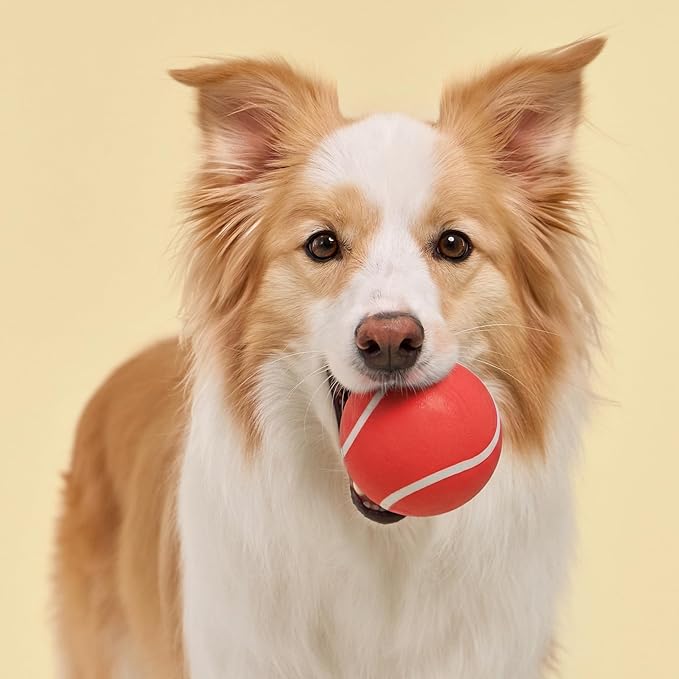 Playology Dog Toys | Squeaky Chew Ball for Large Dogs | Beef Scented Jumbo Dog Ball | Bouncy Floating Chew Toys for Fetch