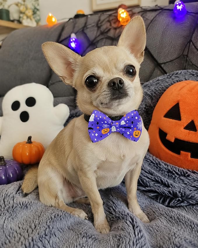 PET SHOW 10 Pack Holiday Small Dog Bow Ties Sliding Collar Attachments Puppy Cats Festival Bowties for Medium Dogs Fall Winter Bowknots Birthday Party Pet Grooming Accessories(Small)