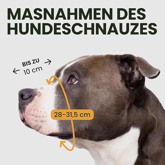 BRONZEDOG Pitbull Dog Muzzle Metal Mask Amstaff Wire Basket Pit Bull Adjustable Leather Straps for Large Dogs (Brown)