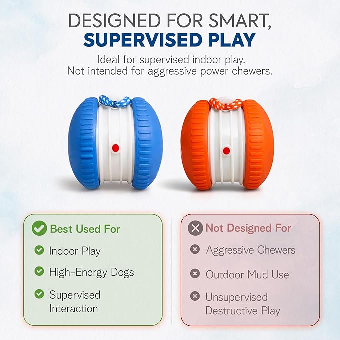 (2 Pack) Interactive Dog Toys for Small Dogs — Boredom Relief & Indoor Enrichment, Automatic Rolling Ball with Rope, Motion Activated Self Moving Dog Toy (Blue + Orange)