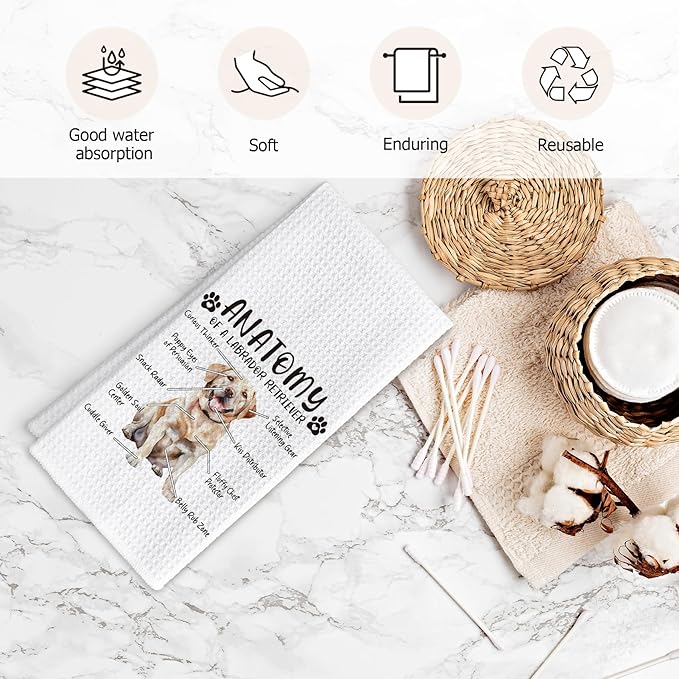 Funny Yellow Labrador Retriever Gifts Kitchen Towels, Yellow lab Gifts for Women, Labrador Lovers Hand Dish Towels for Women Men, Dog Anatomy Tea Towel Dog Room Decor for Home Kitchen Bathroom