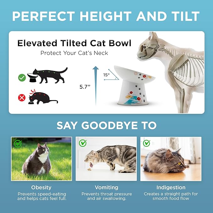 Necoichi Elevated Cat Food Bowl, Ceramic (Porcelain),15° Tilted, Whisker-Friendly, Dishwasher, Microwave Safe, Non-Slip, Anti-Vomiting, Neck Fatigue (Fuji, Extra Wide Tilted, 1.5-Cups Capacity)