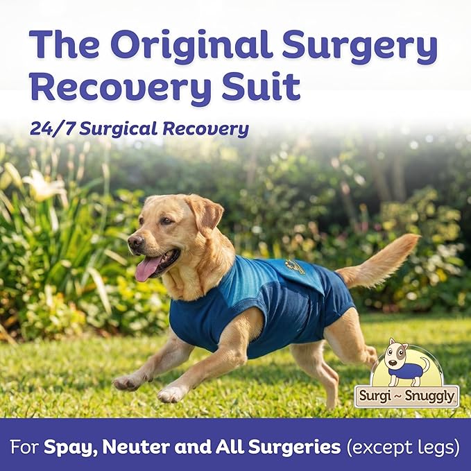 Surgi Snuggly Dog Surgery Recovery Suit – Dog Onesie for Post Surgery Recovery, Female Spay & Male Neuter – Surgical Suit for Dogs, E-Collar Cone Alternative, Double Blue - XL Long - 23" - 26" (EC)
