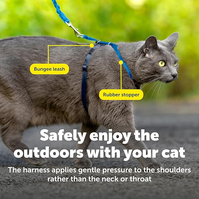 PetSafe Come with Me Kitty Harness and Bungee Leash Adjustable, Lightweight Harness for Cats Small, Royal Blue