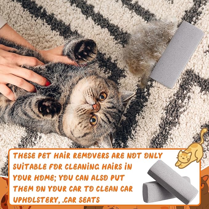 Abbylike 3 Pcs Pet Hair Remover Pumice Stone Reusable Portable Dog Cat Hair Removal Tool Scraper for Carpet,Couch, Bedding, Car Upholstery, Furniture Cleaning (6.1 x 2.56 x 1.4 Inch,Gray)