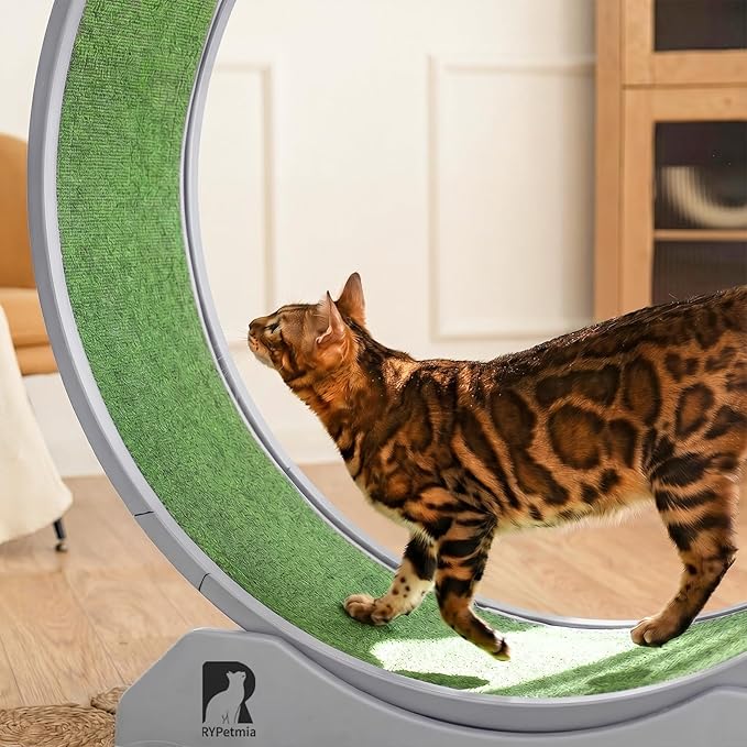 Cat Exercise Wheel, 47.2 Inch Indoor Treadmill for Cats with Carpeted Runway, Screw-Fixed Assembly for Easy Setup, Silent & Safe Fitness Equipment for Most Cats