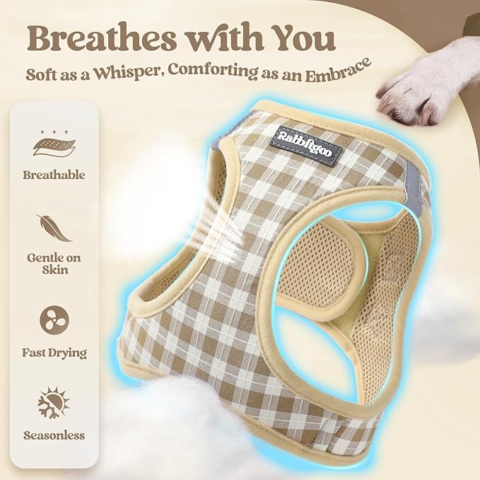 rabbitgoo Dog Harness Small Medium Sized and Leash Set, Step in Soft Light Puppy Vest, Breathable Mesh Pet Harness, Reflective for Safe Easy Walking, Beige Check L