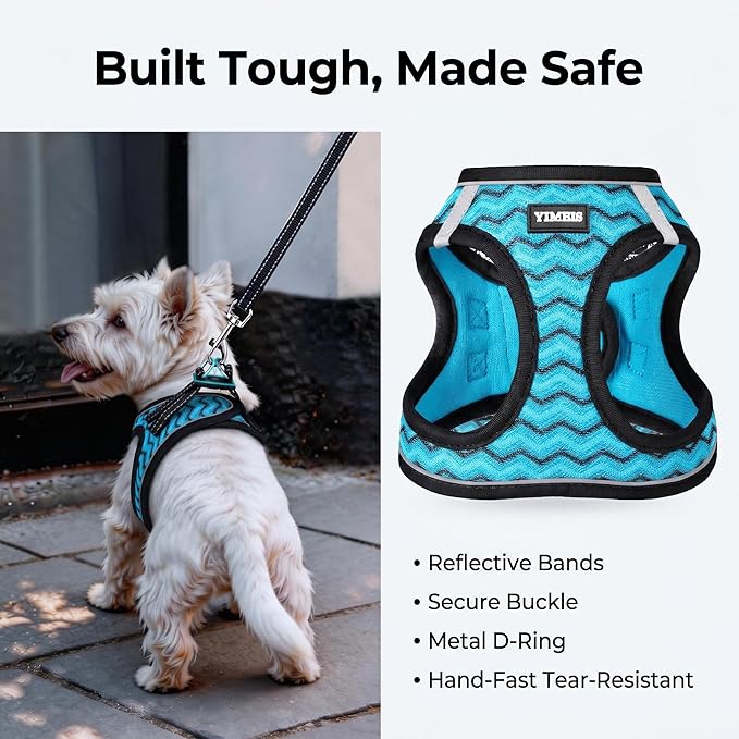 YIMEIS Dog Harness and Leash Set, No Pull Soft Mesh Pet Harness, Reflective Adjustable Puppy Vest for Small Medium Large Dogs, Cats (Blue, X-Small (Pack of 1)