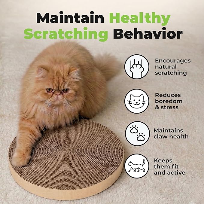 Best Pet Supplies Catify Cat Scratcher, Fun Interactive Scratchers, Posts, Poles, Claw Safe, Furniture Saver Indoor Play Support Natural Cat Behaviors Heavy Duty - Round(3 Pack)