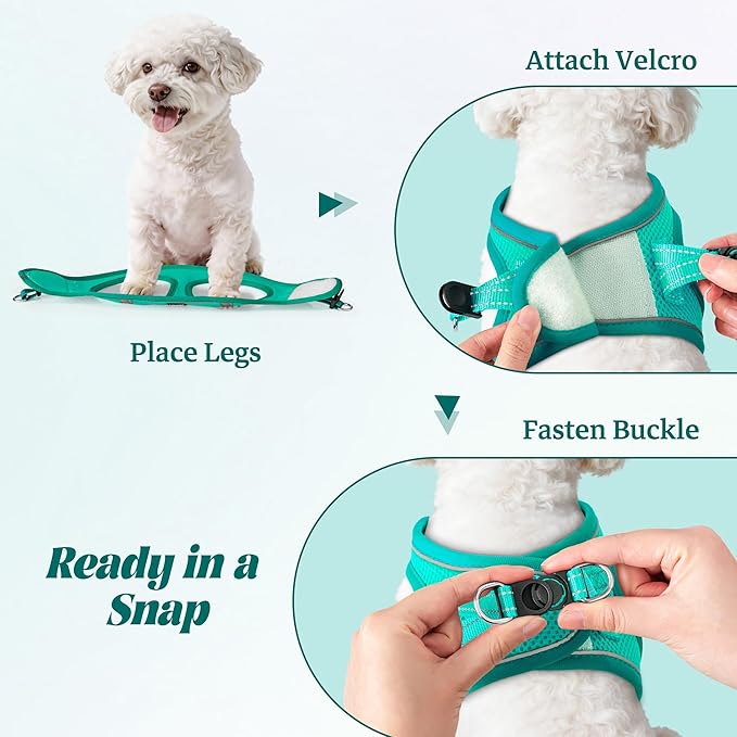 YIMEIS Dog Harness and Leash Set, No Pull Soft Mesh Pet Harness, Reflective Adjustable Puppy Vest for Small Medium Large Dogs, Cats (Turquoise, Medium (Pack of 1)