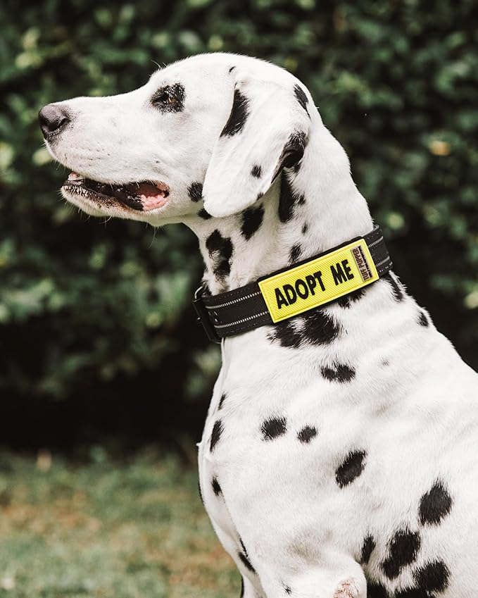 Tuff Pupper 2-Pack Waterproof Collar Sleeves | Fits Any 1 Inch Wide Dog Collar | Dual Sided Message | Durable Silicone & Neoprene | Odor & Stink Proof | Easy Slide On & Off (Adopt Me, Standard)