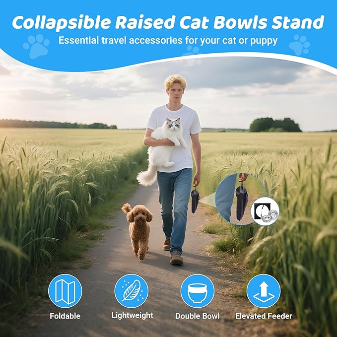 Upgraded Elevated Cat Bowls,10°Tilted Foldable Stand Anti Vomiting Raised Cat Dishes for Food and Water,2 Stainless Steel Bowls for Cats and Puppy (2 Pack)
