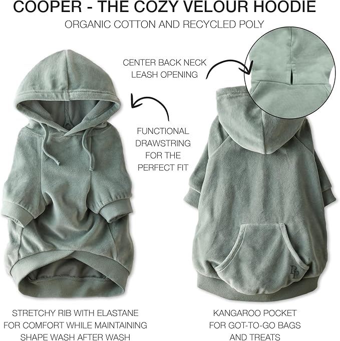 Pet Passion Cooper II Organic Cotton Velour Dog Hoodie Pet Coat for Small, Medium and Large Dogs, Sage, XX-Small (4-7 lbs)