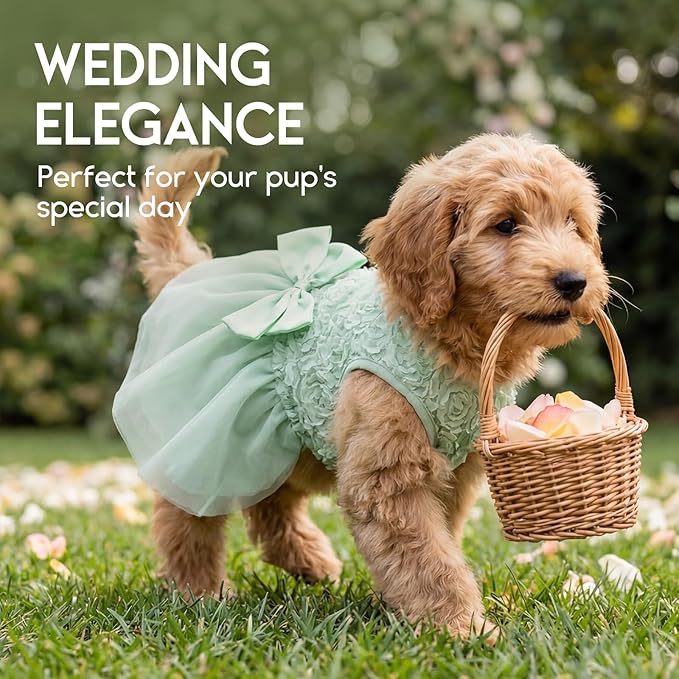 ASENKU Small Dog Dress Pet Wedding Dress Princess Lace Puppy Birthday Party Outfit Formal Apparel Girl for Only Small Medium Dogs Cats (2XL, Green)