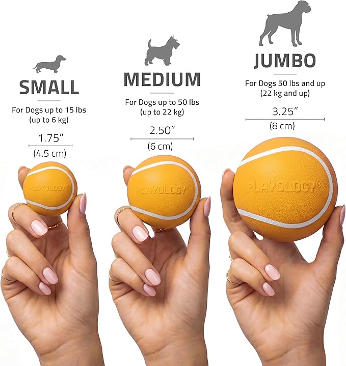 Playology Dog Toys | Squeaky Chew Ball for Dogs, Value 3-Pack | Cheddar Cheese Scented Small Dog Balls | Bouncy Floating Chew Toys for Fetch