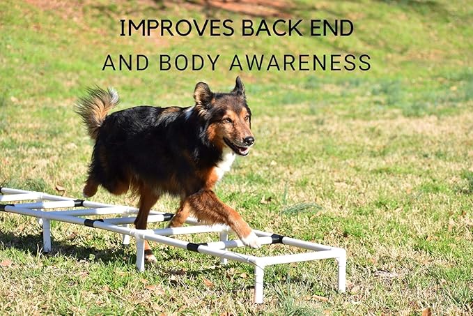 Better Sporting Dogs Agility Training Ladder | Dog Agility Training Equipment | Dog Training Equipment