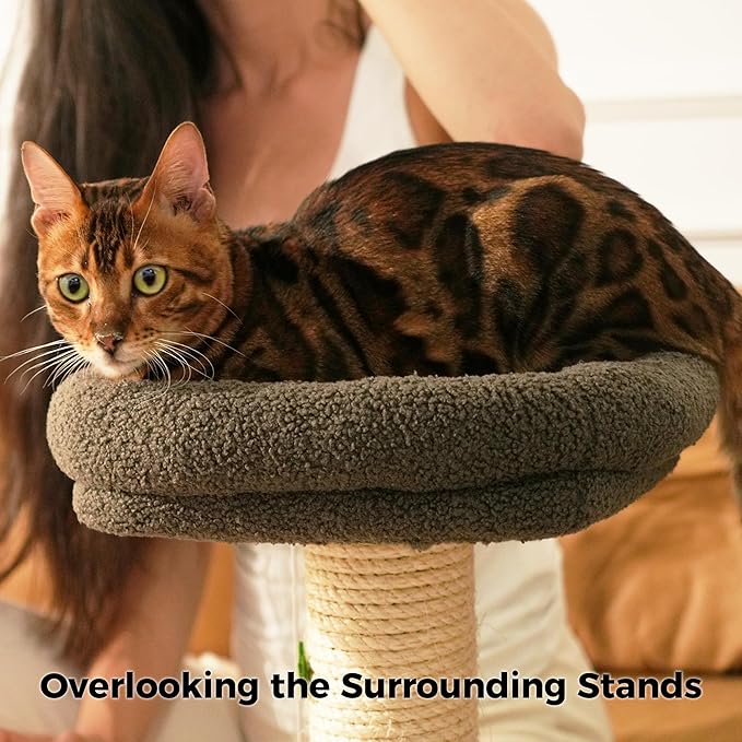 TinyBeast 29.5" Cat Tower with Scratching Post, 4-in-1 Natural Sisal Cat Scratcher with Removable Plush Perch Bed, Cat Stand Featuring Dangling Ball & Spring Ball, Cat Tree Tower for Indoor Adult Cats