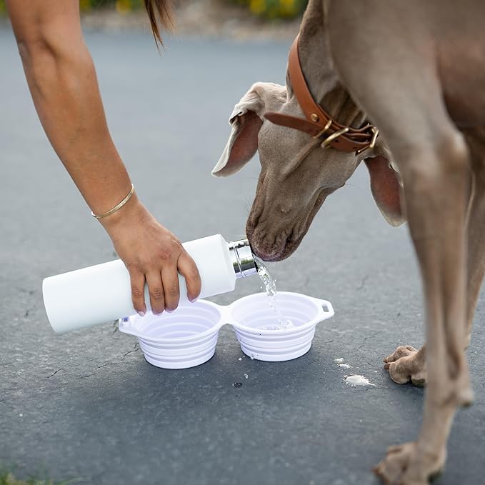 Pup Culture Dual Collapsible Dog Bowls | Silicone Travel Water Bowl for Dogs | Food Grade, No Plastic Rim, Portable Dog Bowl for Food and Water - Easy to Clean | BPA Free and Safe for Your Pup-Black