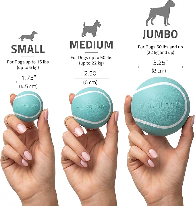 Playology Dog Toys | Squeaky Chew Ball for Dogs, Value 2-Pack | Peanut Butter Scented Medium Dog Balls | Bouncy Floating Chew Toys for Fetch