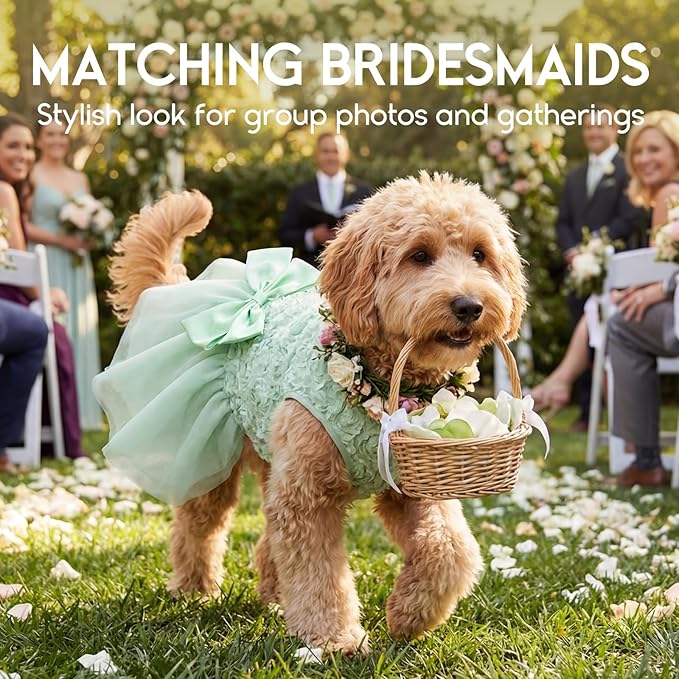ASENKU Small Dog Dress Pet Wedding Dress Princess Lace Puppy Birthday Party Outfit Formal Apparel Girl for Only Small Medium Dogs Cats (Large, Green)