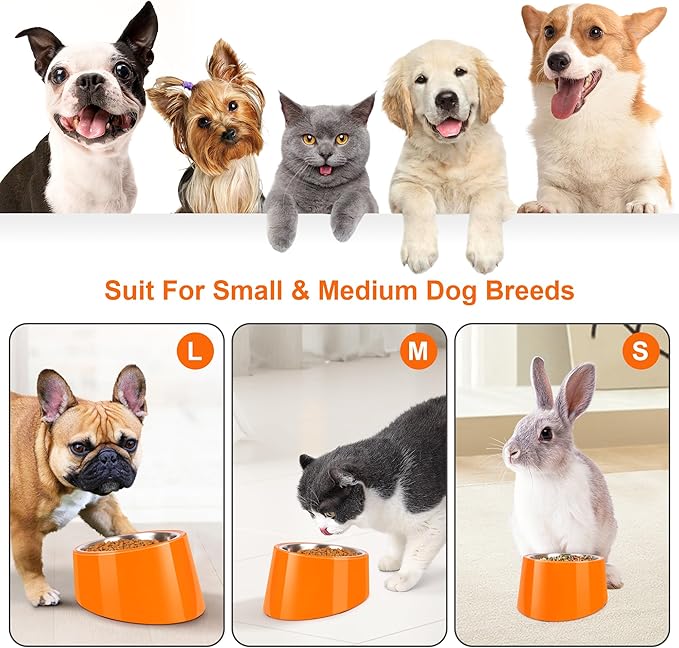 Tilted Dog Bowl Non-Slip & Non-Spill Pet Feeder with Elevated Detachable Melamine Stand, Easy to Get Food Dog Dish, M/180ml Orange
