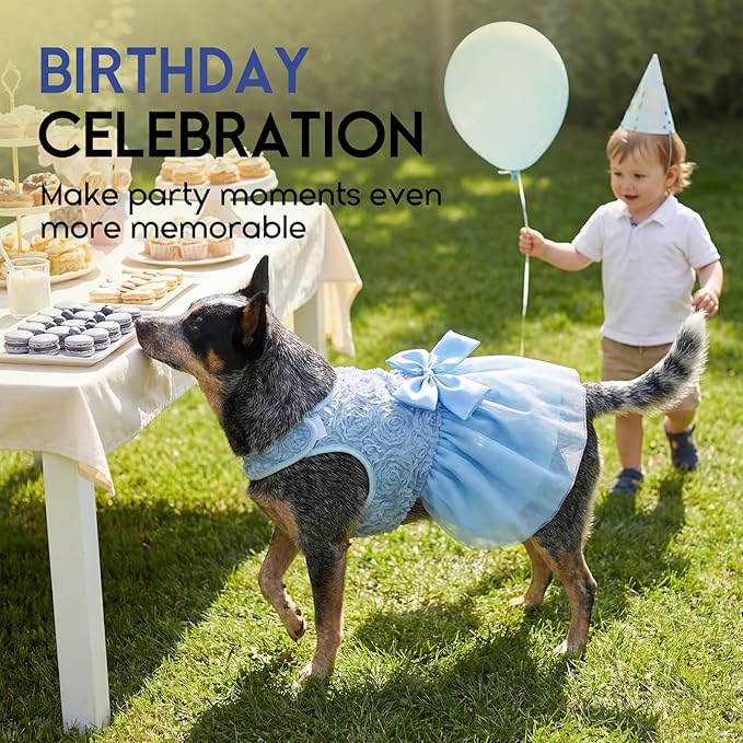 ASENKU Dog Dress Pet Wedding Dress Princess Lace Puppy Birthday Party Outfit Formal Apparel Girl for Small Medium Dogs Cats (Medium, Blue)