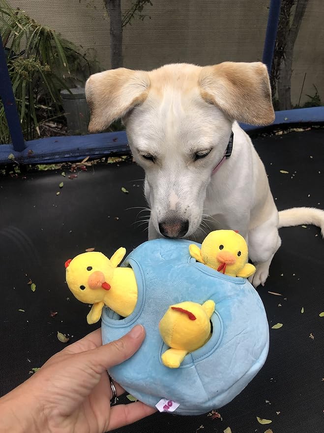 Glow Pups Chicken and Egg Hide and Seek Interactive Dog Toy with Squeaker, Promotes Mental Stimulation, 7 X 6 Inches (Egg and 3 Chickens, Blue and Yellow)