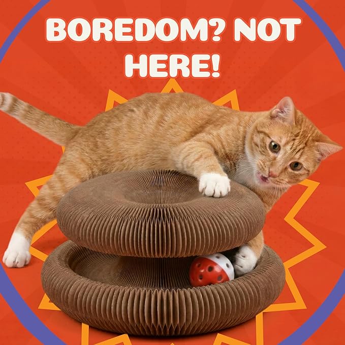 Kitty&Scratch Cat Scratcher Toy | Cardboard Cat Toy with Ball Track with Bell | Kitty Kurlz | Kitty Curls Style Accordion Toy (1 pcs)