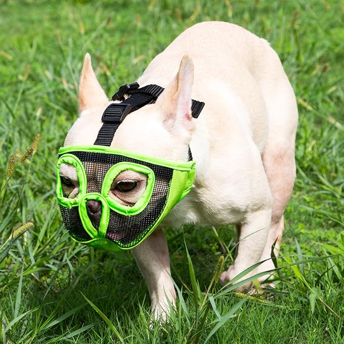 Short Snout Dog Muzzles- Adjustable Breathable Mesh Bulldog Muzzle for Biting Chewing Licking Grooming Dog Mask,Green M