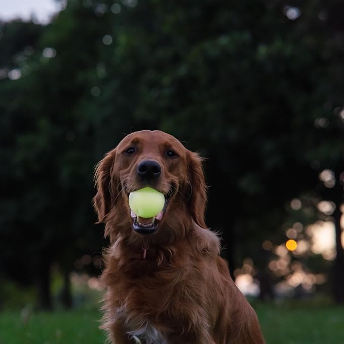 Harry Barker Glow-in-the-Dark Rubber Dog Fetch Balls, High-Bounce Interactive Toy with Safety Air Vent, 3 Inch, Launcher-Compatible