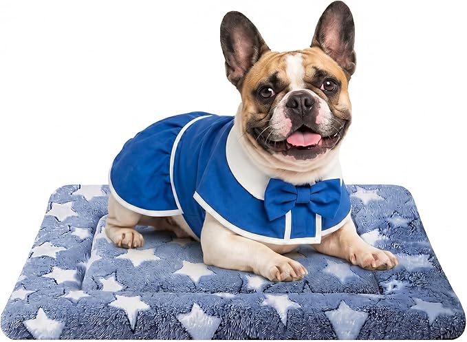 Dog Bed Mat - Soft Crate Pad for Kennel, Durable Pet Bed for Small Dogs & Cats - Comfort Support for Pet Crate, Cage, House