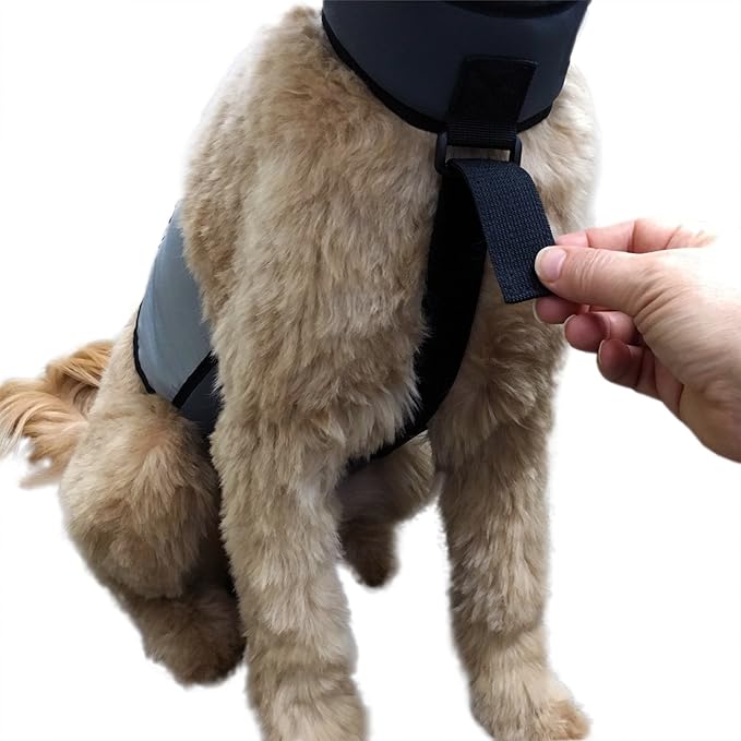 CoolerDog Dog Cooling Vest & Cooling Collar – Ice Vest for Hot Weather Heat Relief, Re-Freezable Pure Water Inserts (Medium 22”–27” Girth)