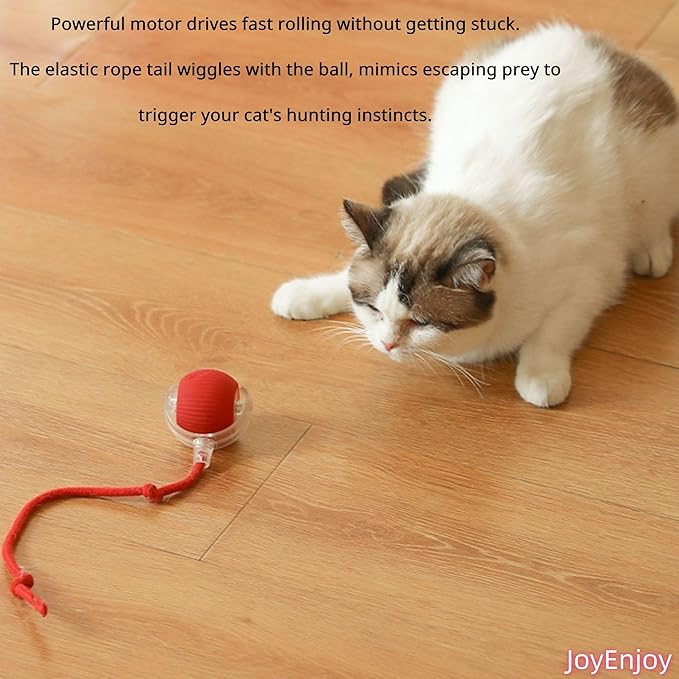 Interactive Cat Toy Ball Automatic Rolling Smart Cat Ball with Tail Motion Activated USB Rechargeable 3 Speed Modes Bird Chirping Durable Silicone Pet Toy for Indoor Cats Multiple Colors (Red)