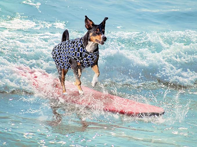 Lightweight Breathable Dog Cooling Shirts, Quick Dry Dog Sunscreen T-Shirt, Professional Pet Summer Vest for Small Medium Large Girl Boy Dogs