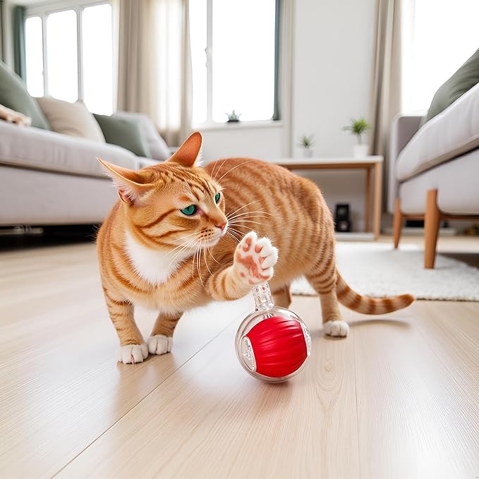 Interactive Dog Cat Toy Ball, Electric Automatic Rolling Moving USB Rechargeable Self Activated Stimulation Toy with Speedy Tail Rope for Indoor Cats and Dogs (Red)