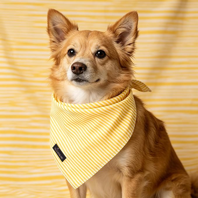 ARING PET Stripe Dog Bandanas, Cute Yellow Pet Bandana Scarf Triangle Bib for Small Medium Large Boy Girl Dogs Cats, Puppy Kerchief for Daily Wear Walks Party Photos-L