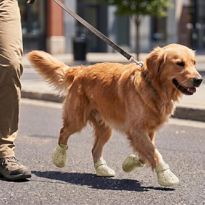 Dog Shoes for Dogs, Clogs Boots Booties Hot Pavement, Rain Waterproof Shoe Summer Sandals Puppy Breathable Doggie Doggy Light Water Up Sneaker (Cream, Medium)